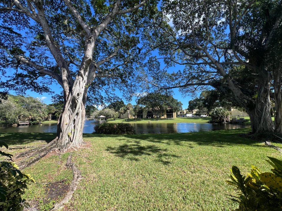 For Sale: $210,000 (1 beds, 1 baths, 780 Square Feet)