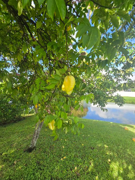 For Sale: $600,000 (3 beds, 2 baths, 1643 Square Feet)