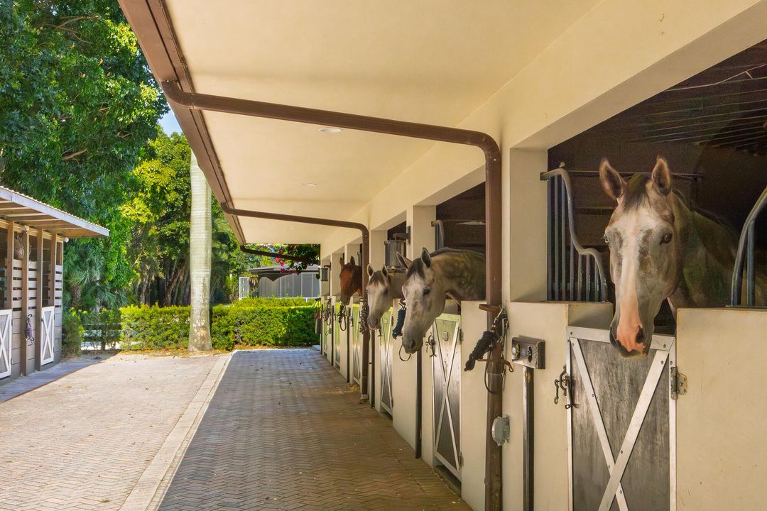 出租: $3,300 (5 贝兹, 6 浴室, 4660 平方英尺)