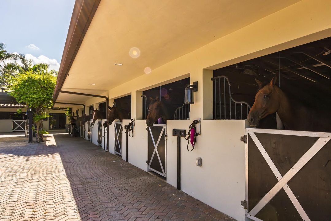 出租: $3,300 (5 贝兹, 6 浴室, 4660 平方英尺)