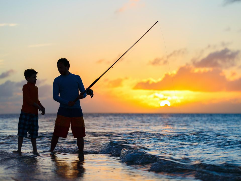 For Sale: $59,900 (0 beds, 0 baths, 0 Square Feet)