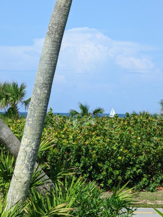 En Renta: $4,000 (2 camas, 2 baños, 1520 Pies cuadrados)