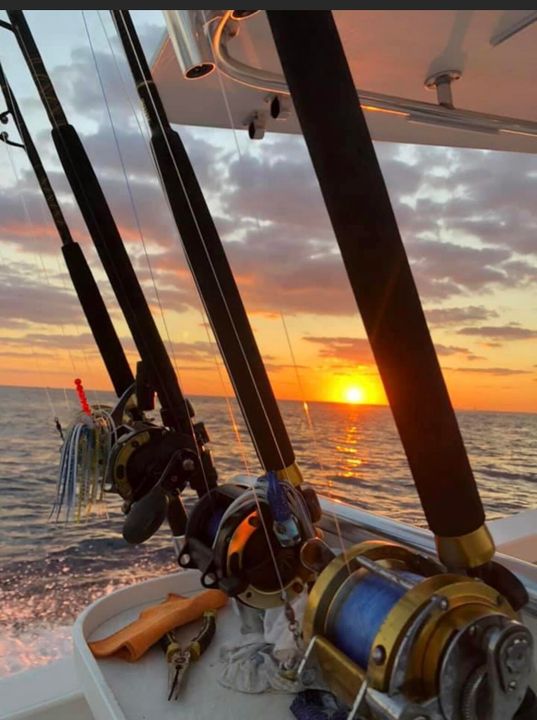 На продажу: $805,000 (3 спален, 2 ванн, 1769 Квадратных фут)