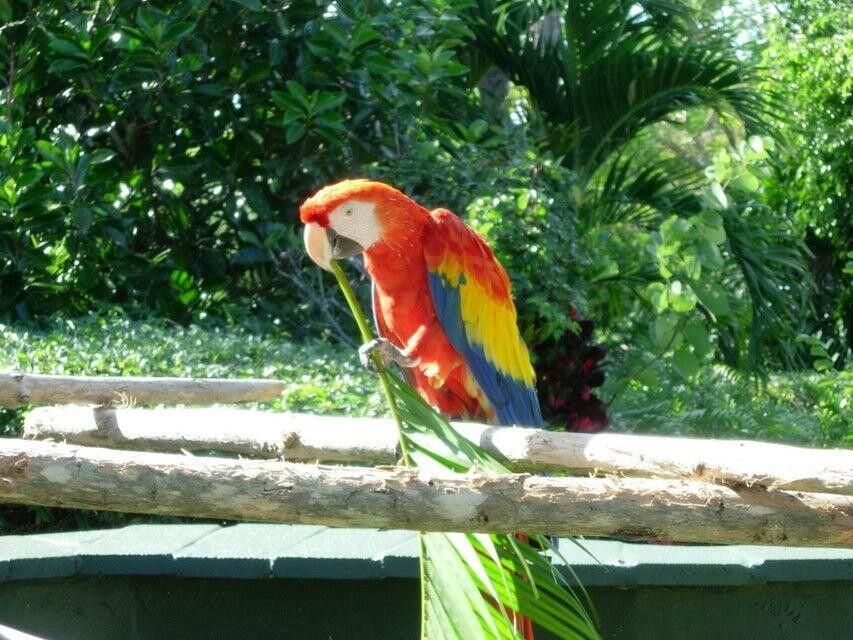 For Sale: $599,000 (2 beds, 2 baths, 1580 Square Feet)