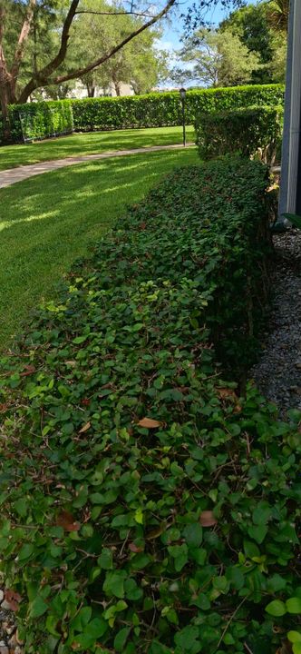 For Rent: $2,275 (2 beds, 2 baths, 1000 Square Feet)