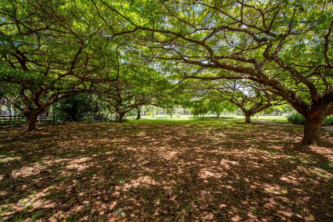 For Sale: $3,994,980 (6 beds, 6 baths, 5560 Square Feet)