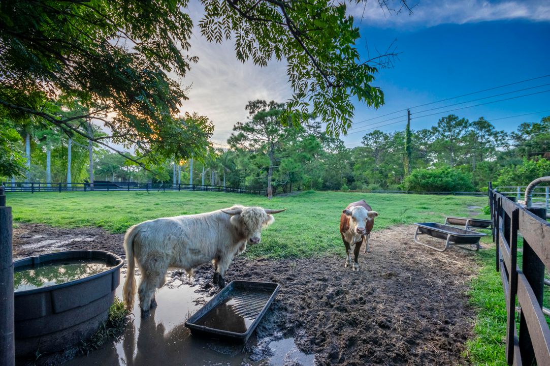 For Sale: $3,994,980 (6 beds, 6 baths, 5560 Square Feet)