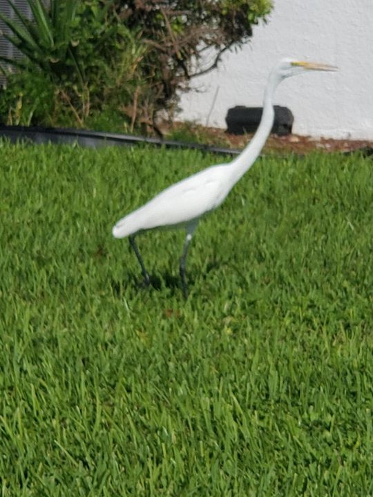 待售: $103,999 (2 贝兹, 1 浴室, 828 平方英尺)