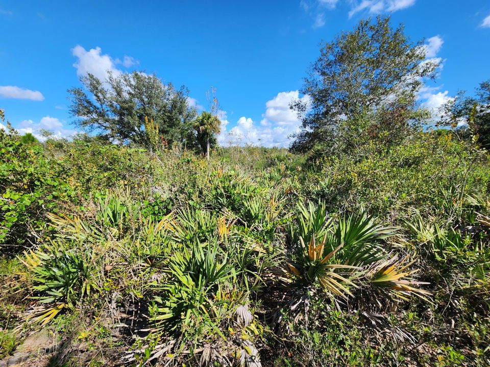 待售: $39,900 (0 贝兹, 0 浴室, 0 平方英尺)