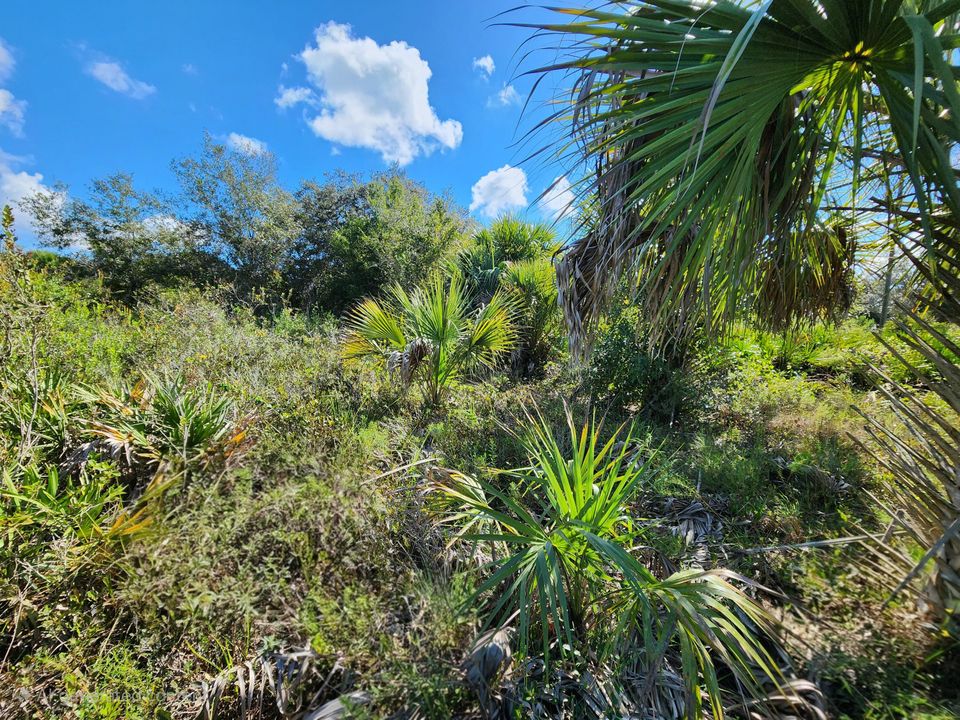 待售: $39,900 (0 贝兹, 0 浴室, 0 平方英尺)