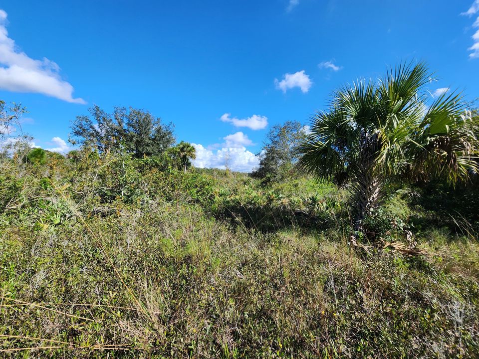 待售: $39,900 (0 贝兹, 0 浴室, 0 平方英尺)