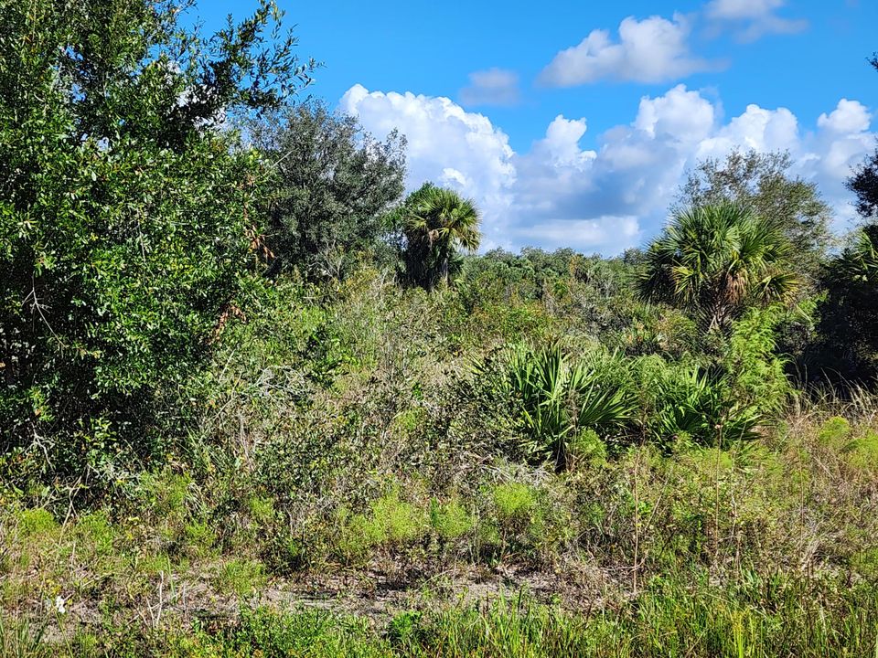 待售: $39,900 (0 贝兹, 0 浴室, 0 平方英尺)