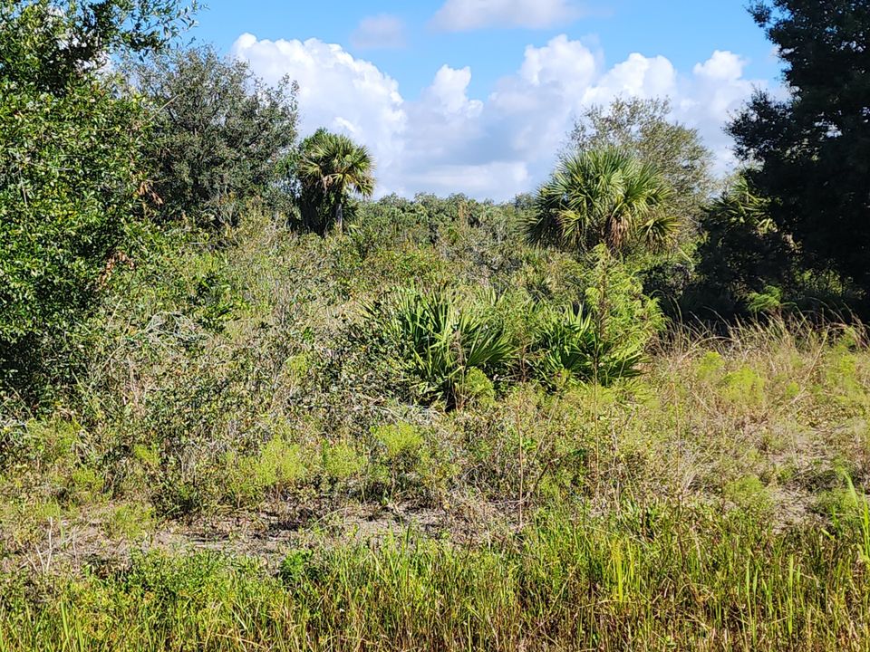 待售: $39,900 (0 贝兹, 0 浴室, 0 平方英尺)