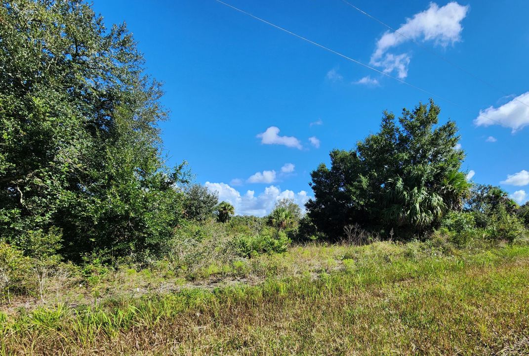 待售: $39,900 (0 贝兹, 0 浴室, 0 平方英尺)