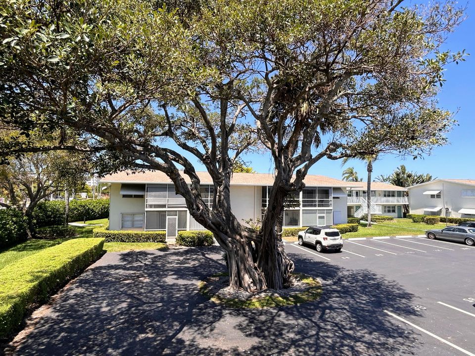 For Rent: $1,950 (2 beds, 1 baths, 815 Square Feet)