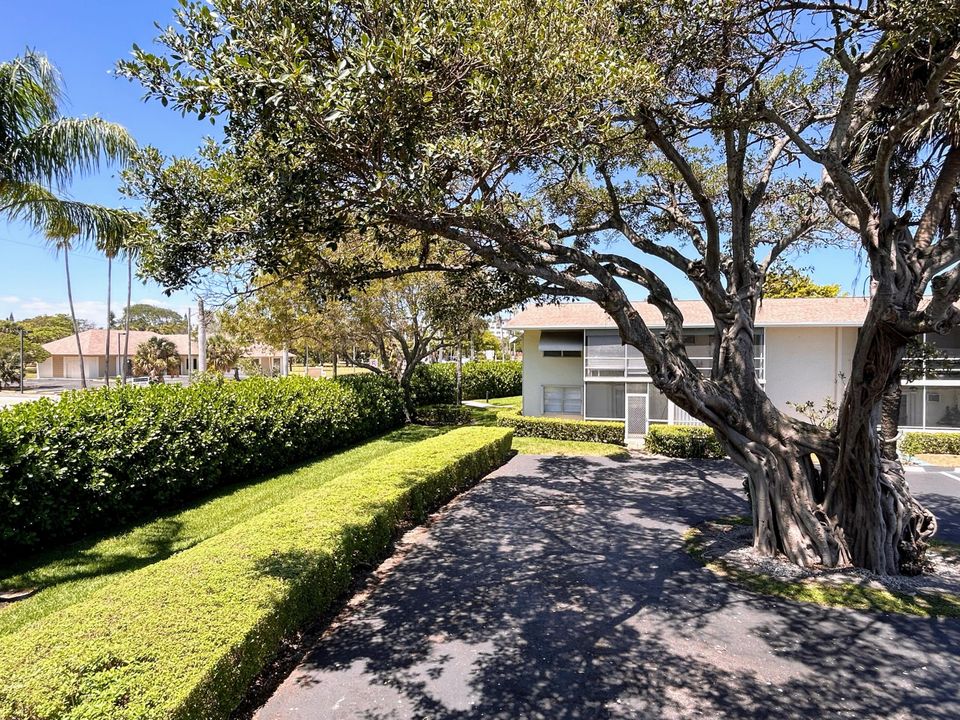 For Rent: $1,950 (2 beds, 1 baths, 815 Square Feet)