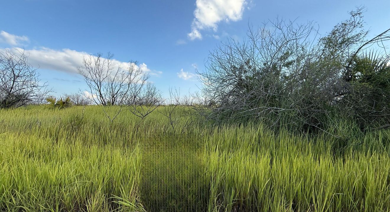 For Sale: $59,900 (0 beds, 0 baths, 0 Square Feet)