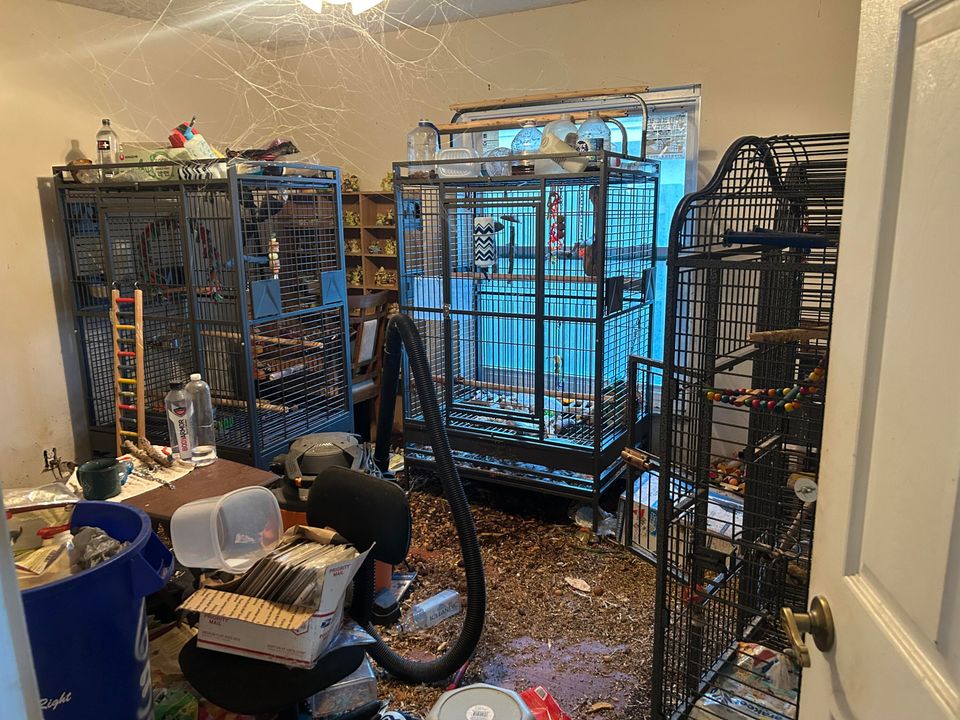 合同活跃: $529,000 (3 贝兹, 2 浴室, 2000 平方英尺)