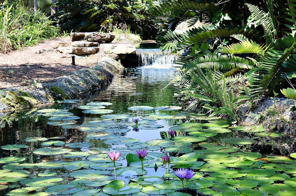 En Venta: $699,000 (3 camas, 2 baños, 2221 Pies cuadrados)