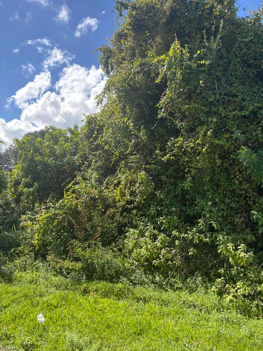 待售: $150,000 (0 贝兹, 0 浴室, 0 平方英尺)