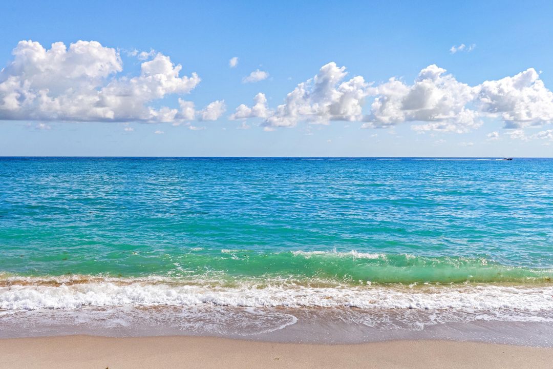 待售: $59,500,000 (5 贝兹, 6 浴室, 8723 平方英尺)