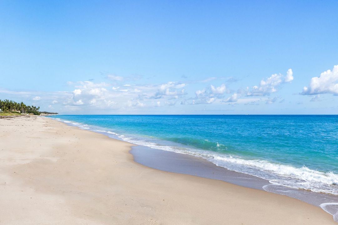 待售: $59,500,000 (5 贝兹, 6 浴室, 8723 平方英尺)