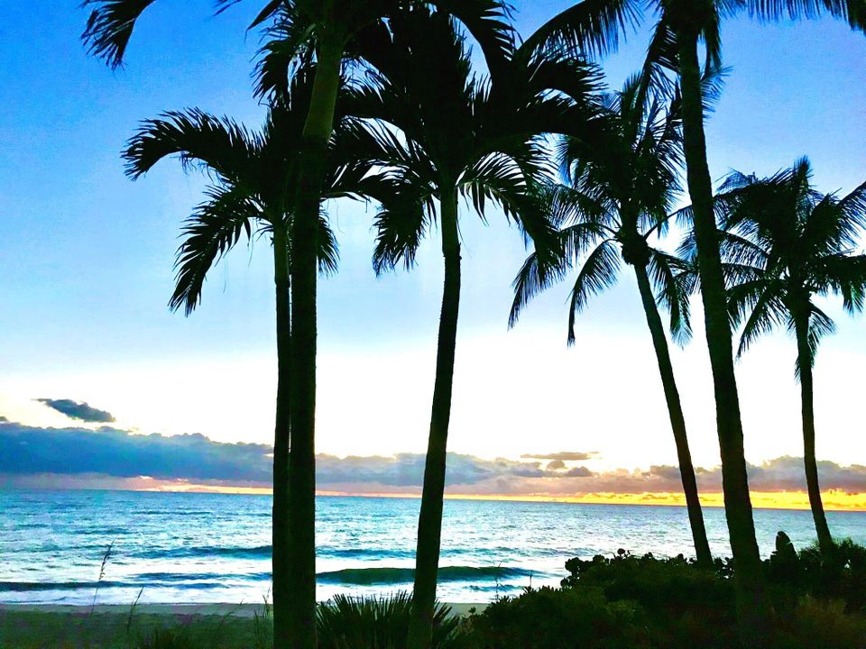 出租: $1,550 (2 贝兹, 2 浴室, 1000 平方英尺)