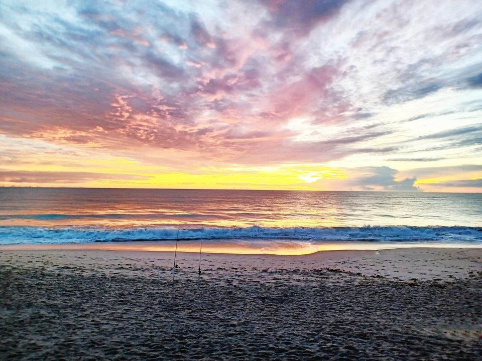 出租: $1,550 (2 贝兹, 2 浴室, 1000 平方英尺)