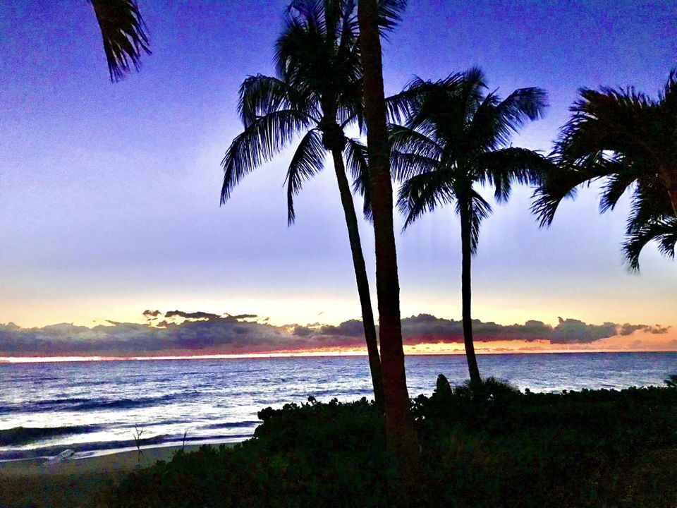 出租: $1,550 (2 贝兹, 2 浴室, 1000 平方英尺)