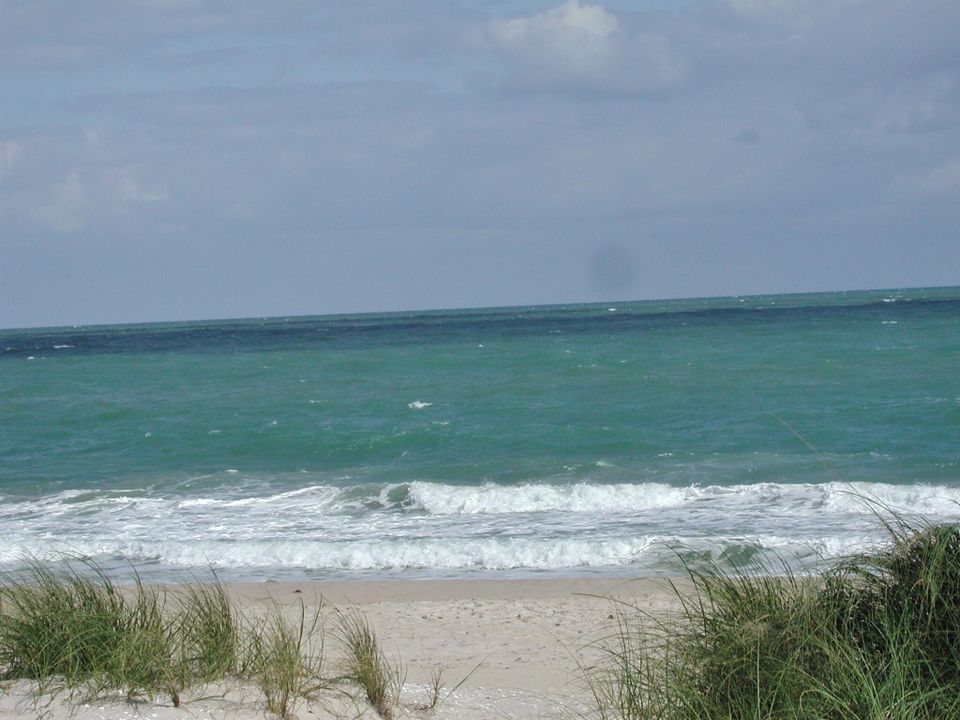 出租: $1,550 (2 贝兹, 2 浴室, 1000 平方英尺)