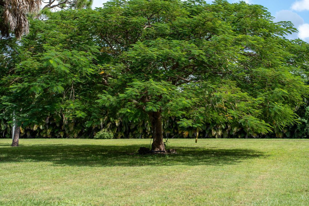 For Sale: $1,395,000 (4 beds, 3 baths, 2078 Square Feet)