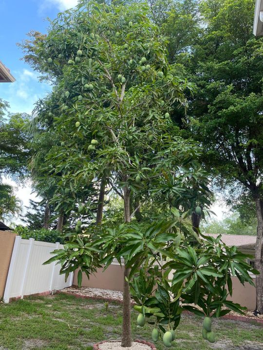 For Sale: $637,999 (5 beds, 3 baths, 2677 Square Feet)