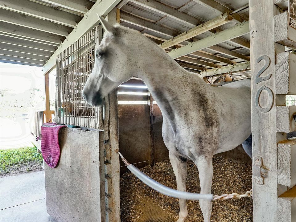 For Rent: $10,000 (4 beds, 2 baths, 2358 Square Feet)