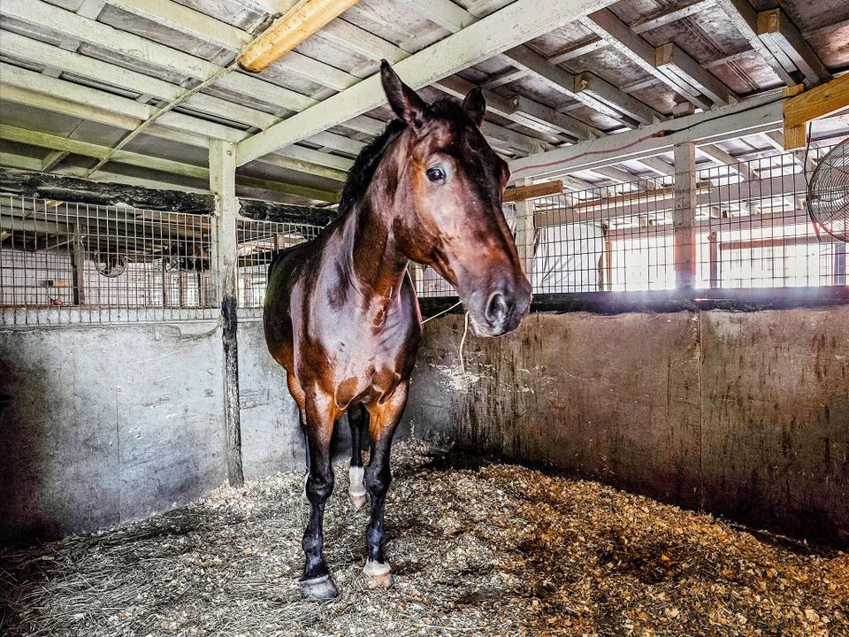 For Rent: $10,000 (4 beds, 2 baths, 2358 Square Feet)