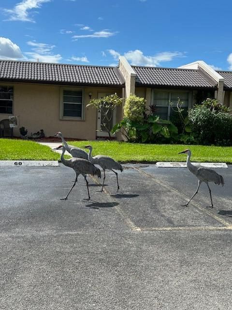 合同活跃: $145,000 (2 贝兹, 2 浴室, 1000 平方英尺)