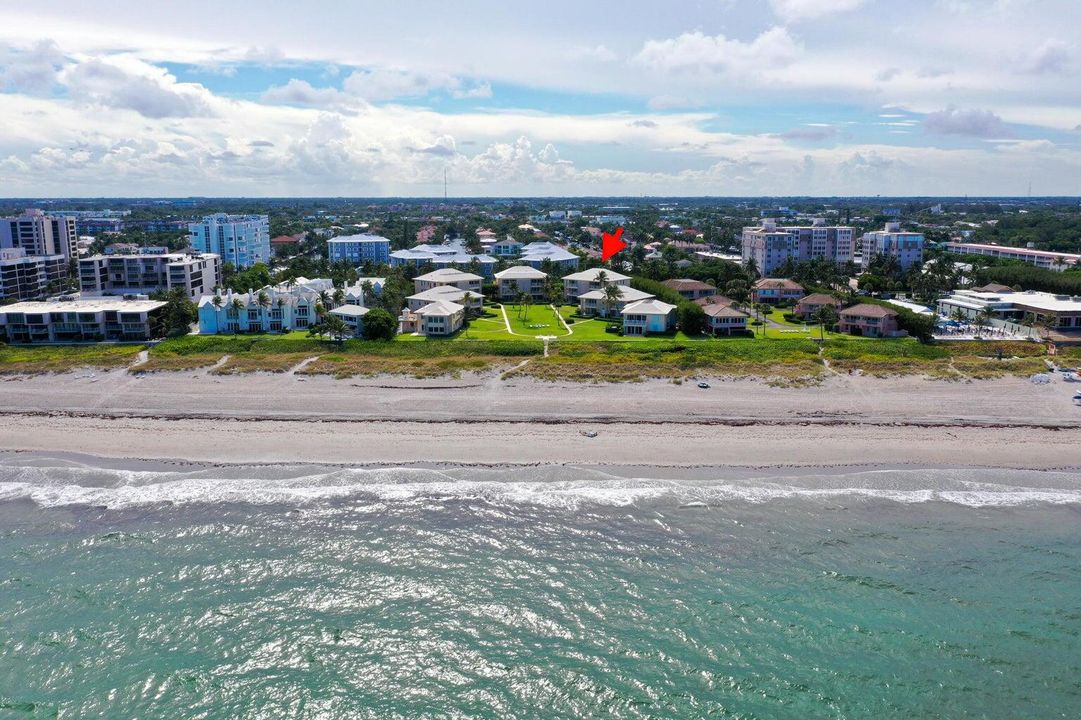 出租: $10,500 (2 贝兹, 2 浴室, 1254 平方英尺)