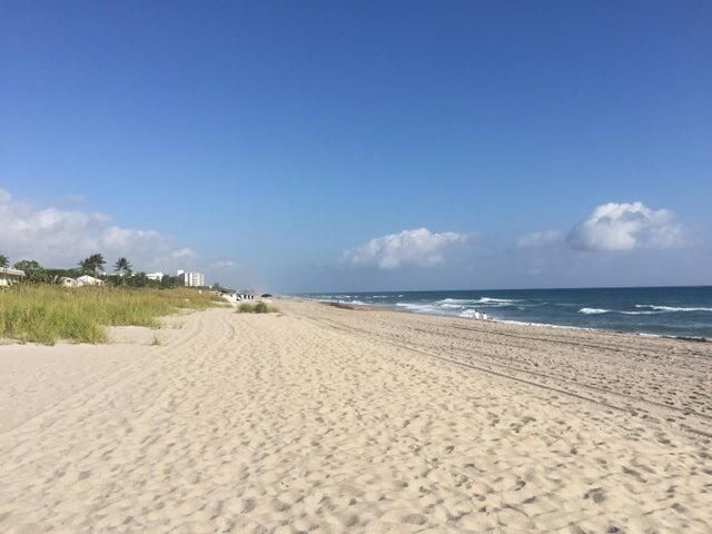 出租: $10,500 (2 贝兹, 2 浴室, 1254 平方英尺)