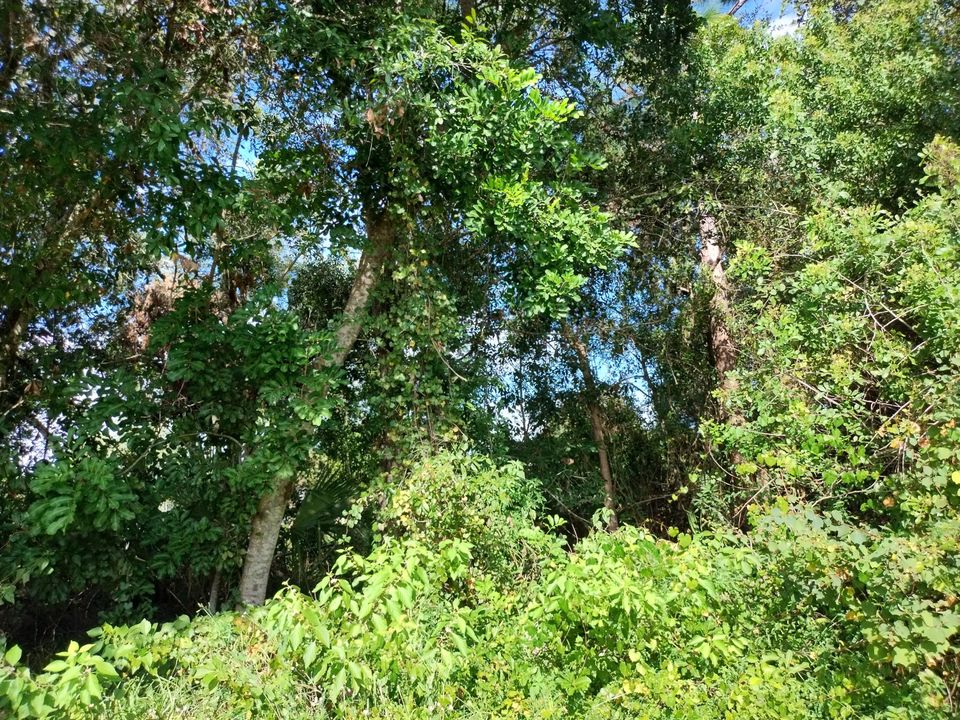 合同活跃: $164,900 (0 贝兹, 0 浴室, 0 平方英尺)