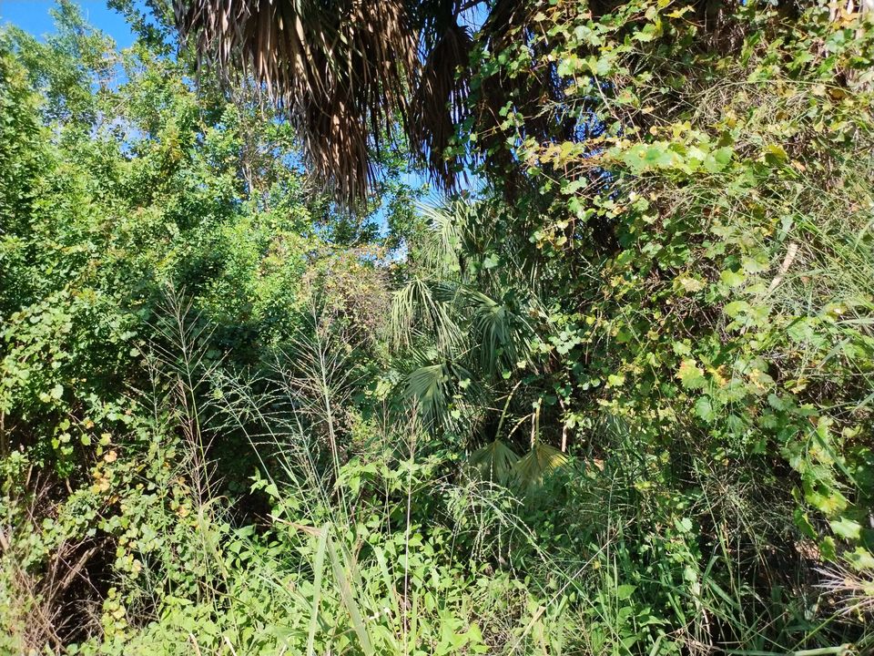 合同活跃: $164,900 (0 贝兹, 0 浴室, 0 平方英尺)