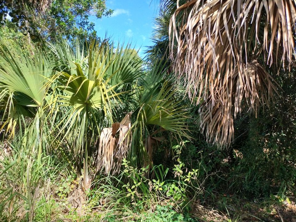 合同活跃: $164,900 (0 贝兹, 0 浴室, 0 平方英尺)