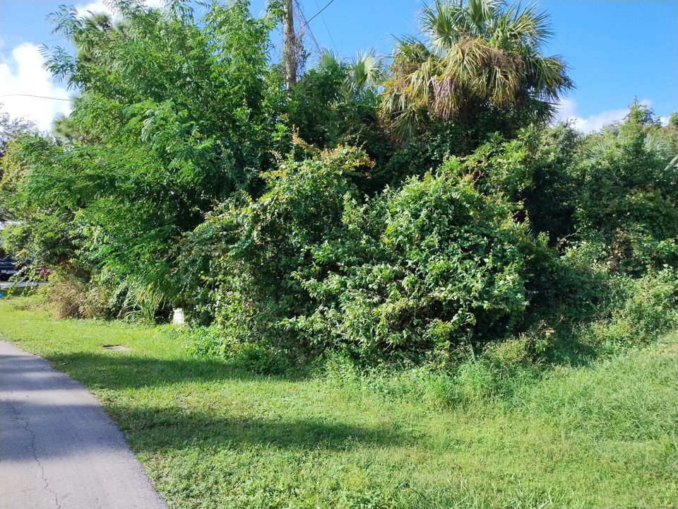 合同活跃: $164,900 (0 贝兹, 0 浴室, 0 平方英尺)