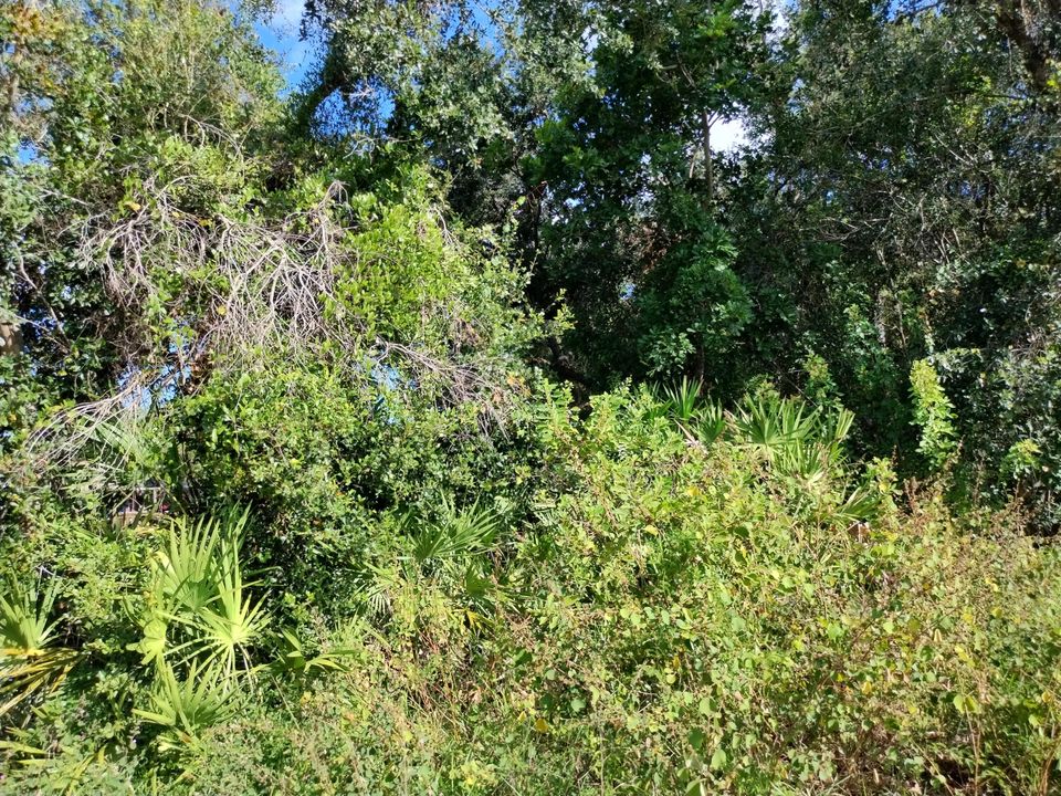 合同活跃: $164,900 (0 贝兹, 0 浴室, 0 平方英尺)