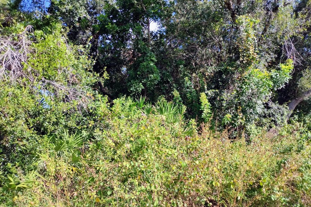 合同活跃: $164,900 (0 贝兹, 0 浴室, 0 平方英尺)