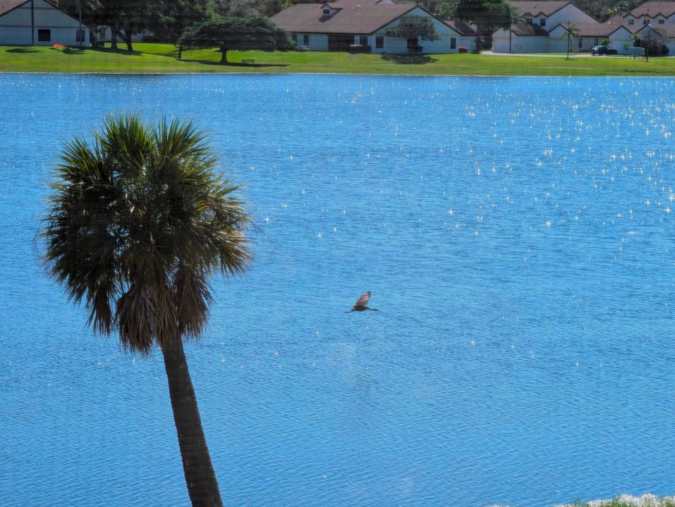 合同活跃: $424,900 (3 贝兹, 2 浴室, 1178 平方英尺)