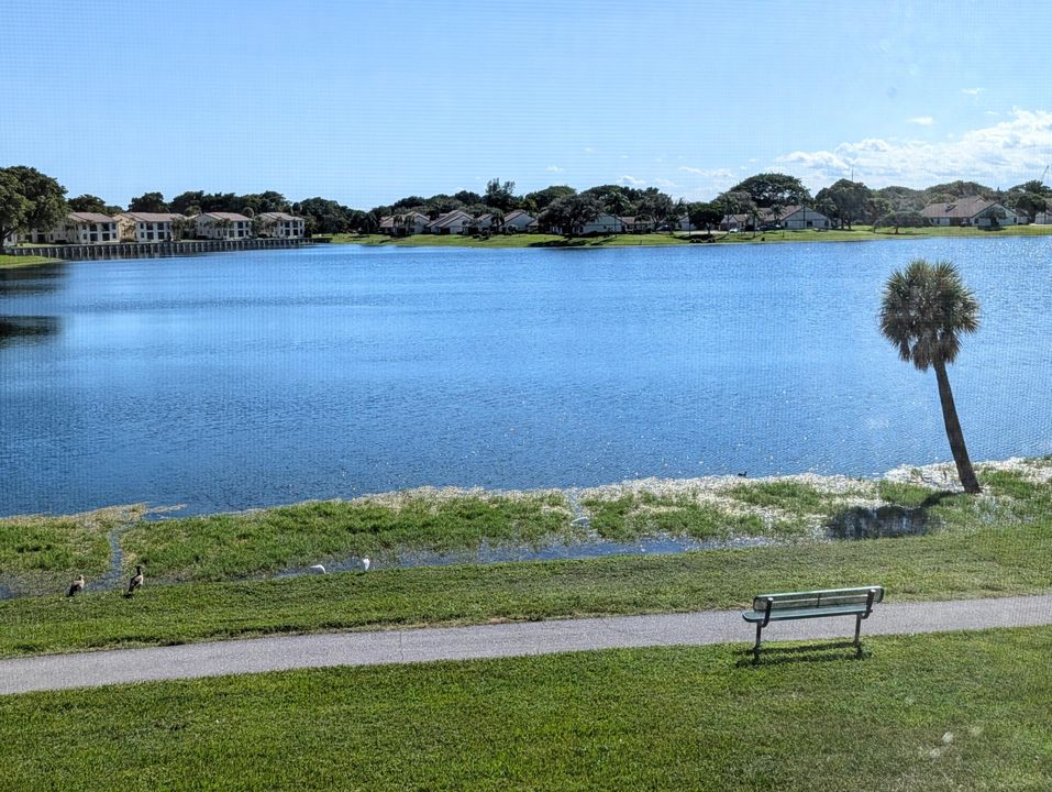 合同活跃: $424,900 (3 贝兹, 2 浴室, 1178 平方英尺)