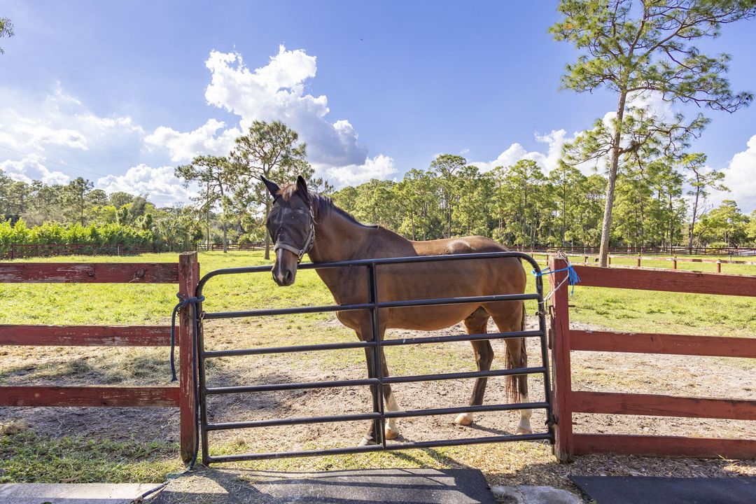 For Rent: $2,500 (1 beds, 1 baths, 500 Square Feet)