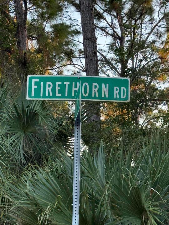 待售: $45,000 (0 贝兹, 0 浴室, 0 平方英尺)