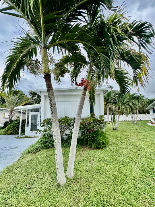 待售: $93,499 (1 贝兹, 1 浴室, 470 平方英尺)