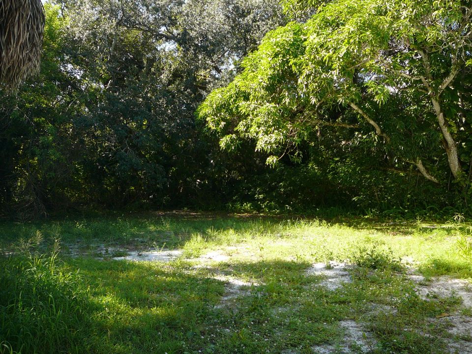 合同活跃: $389,000 (3 贝兹, 2 浴室, 1336 平方英尺)