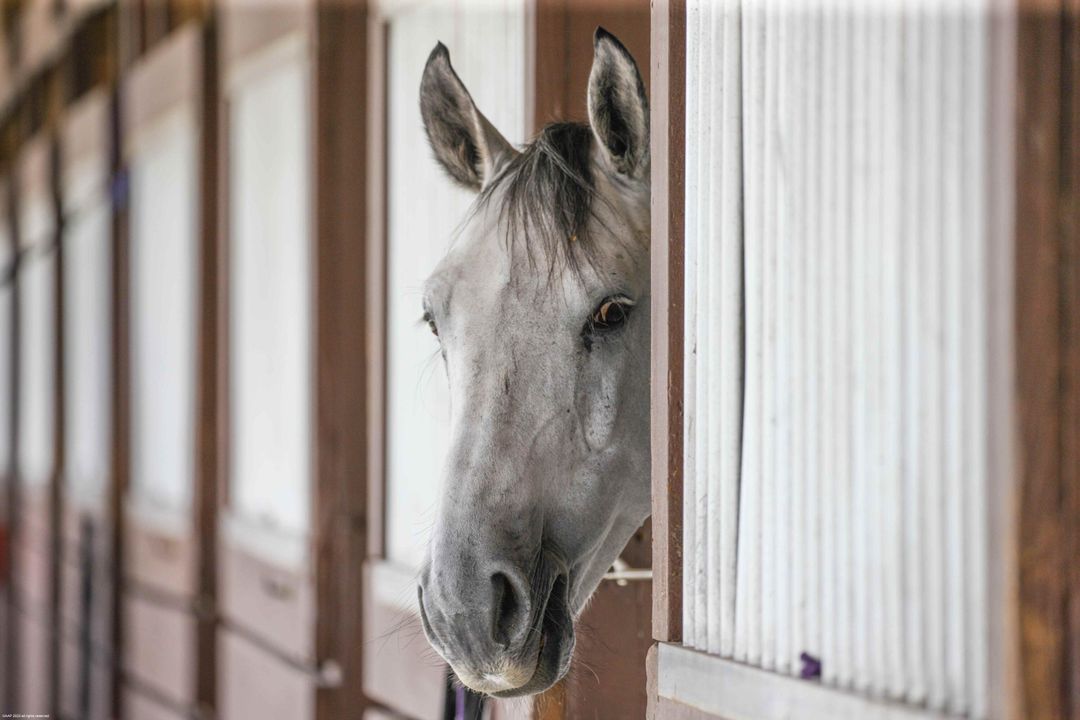 For Sale: $5,200,000 (3 beds, 3 baths, 3463 Square Feet)